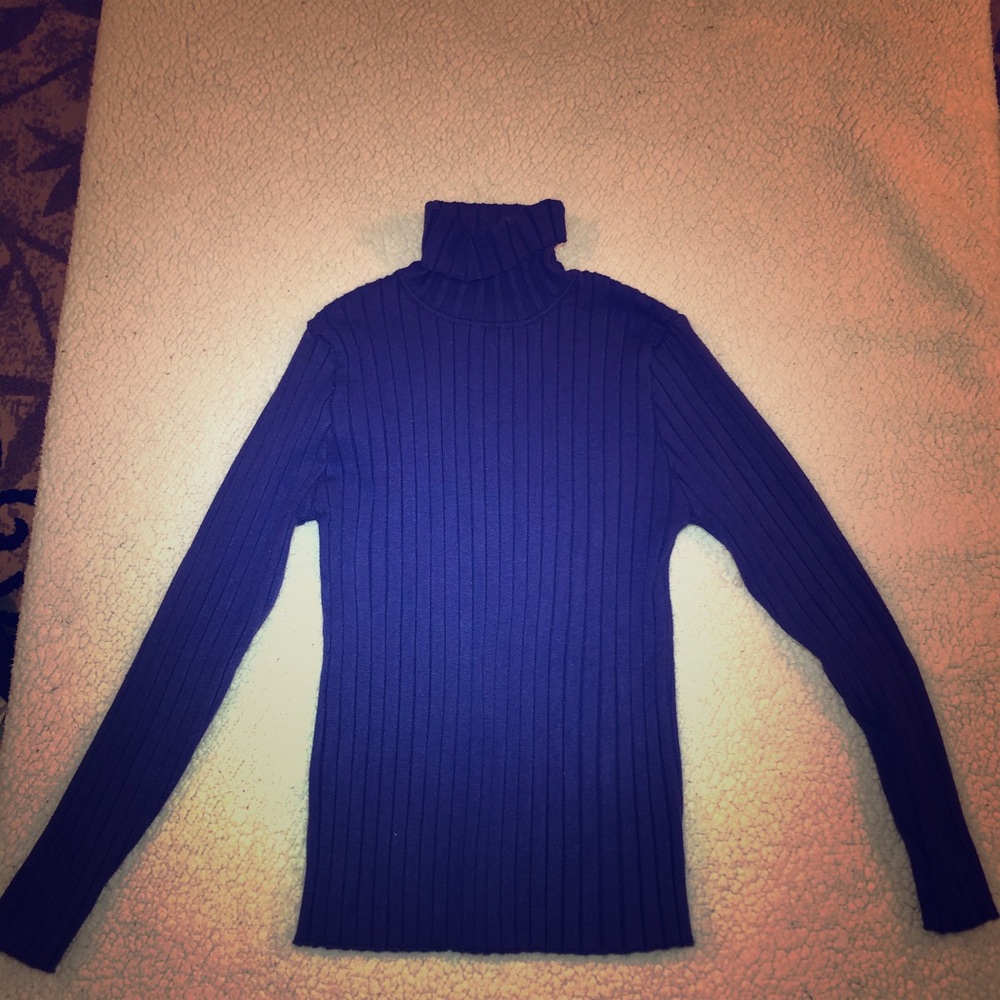 Blue/Purple Super Stretch Turtle Neck